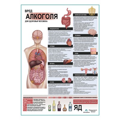 Вред алкоголя для здоровья плакат глянцевый А1+/А2+