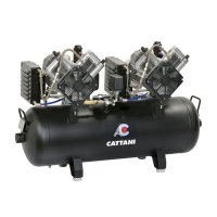 Cattani Tandem - 3-х фазный компрессор на 5-6 установок