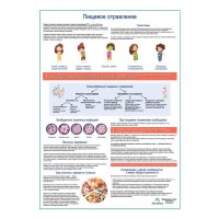 Пищевое отравление, медицинский плакат А1+/А2+