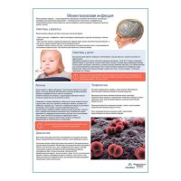 Менингококковая инфекция медицинский плакат А1+/A2+
