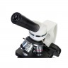 Микроскоп Levenhuk Discovery Atto Polar с книгой