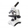 Микроскоп Levenhuk Discovery Femto Polar с книгой
