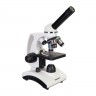 Микроскоп Levenhuk Discovery Femto Polar с книгой