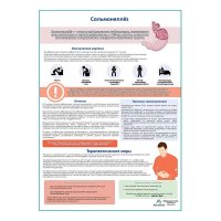 Сальмонеллез медицинский плакат А1+/A2+