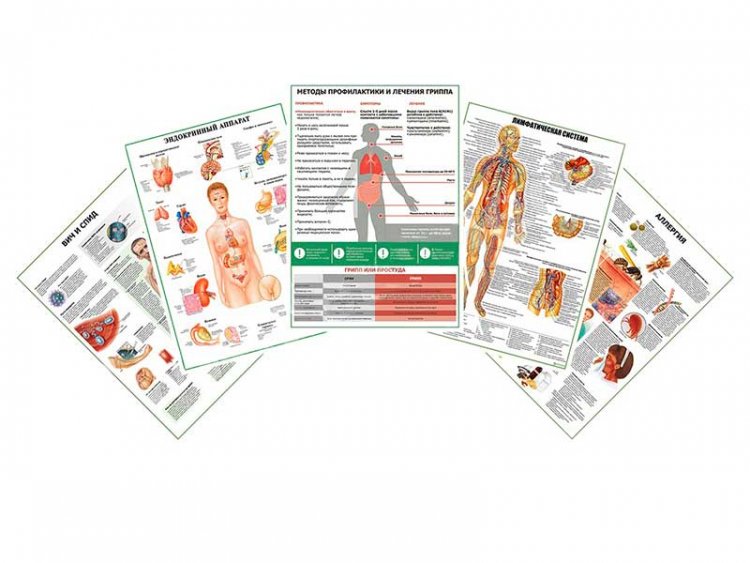 Комплект плакатов для кабинета аллерголога-иммунолога глянцевый А1/А2