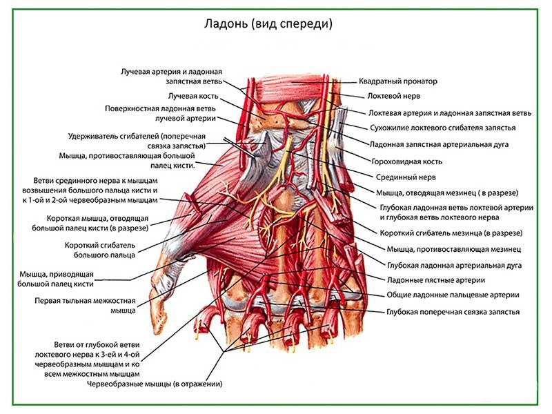 Повреждение мелких артерий кистей и стоп