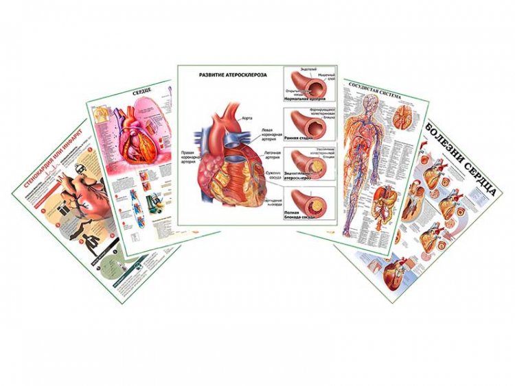 Комплект плакатов для кабинета кардиолога глянцевый А1/А2