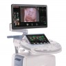 Ультразвуковая диагностическая система GE Healthcare Voluson E10