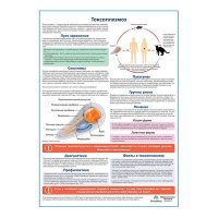 Токсоплазмоз медицинский плакат А1+/A2+
